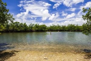 Kayaking through the mangroves at Oleta River State Park in Miami
