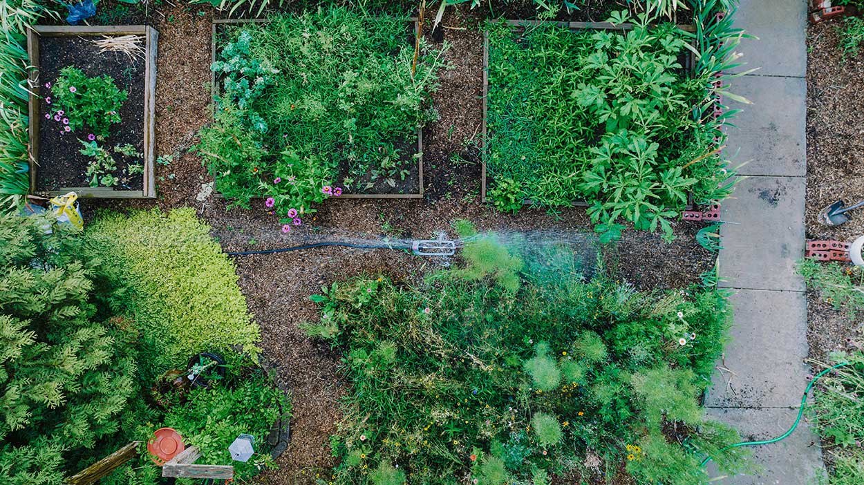 A large raised-bed garden.