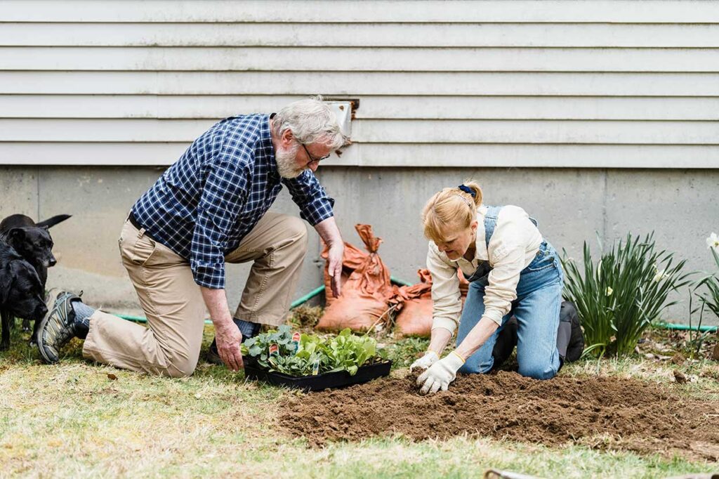 A couple planting a garden in their backyard.