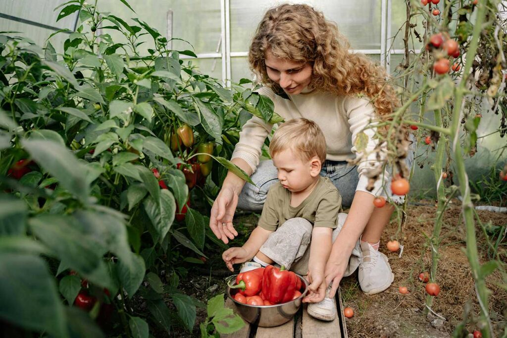 Mother and child harvesting vegetables from garden.
